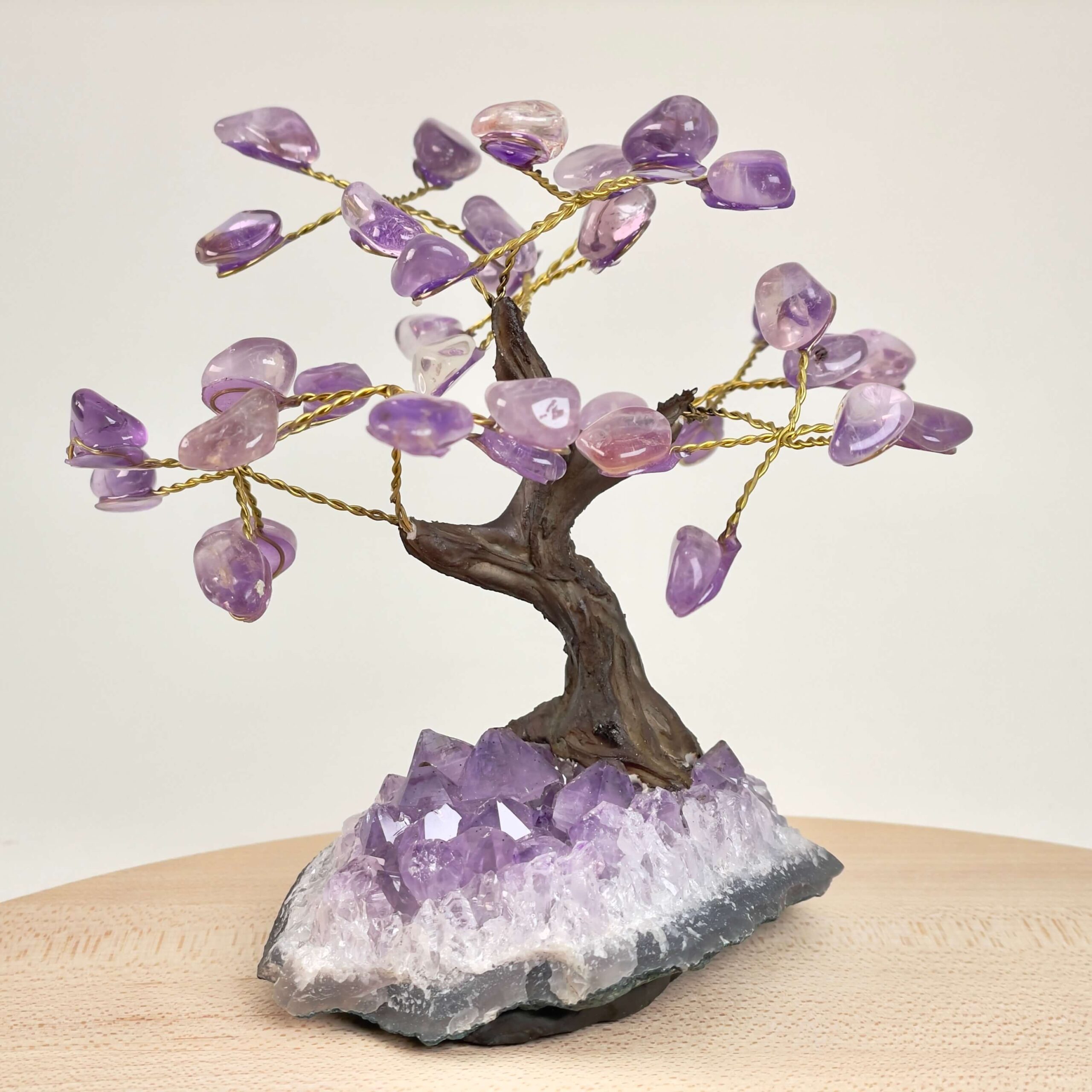 Ametyst Træ Krystal Sten på hvid baggrund