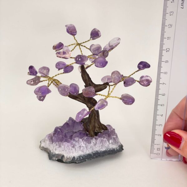 Ametyst Træ Krystal Sten med lineal på hvid baggrund