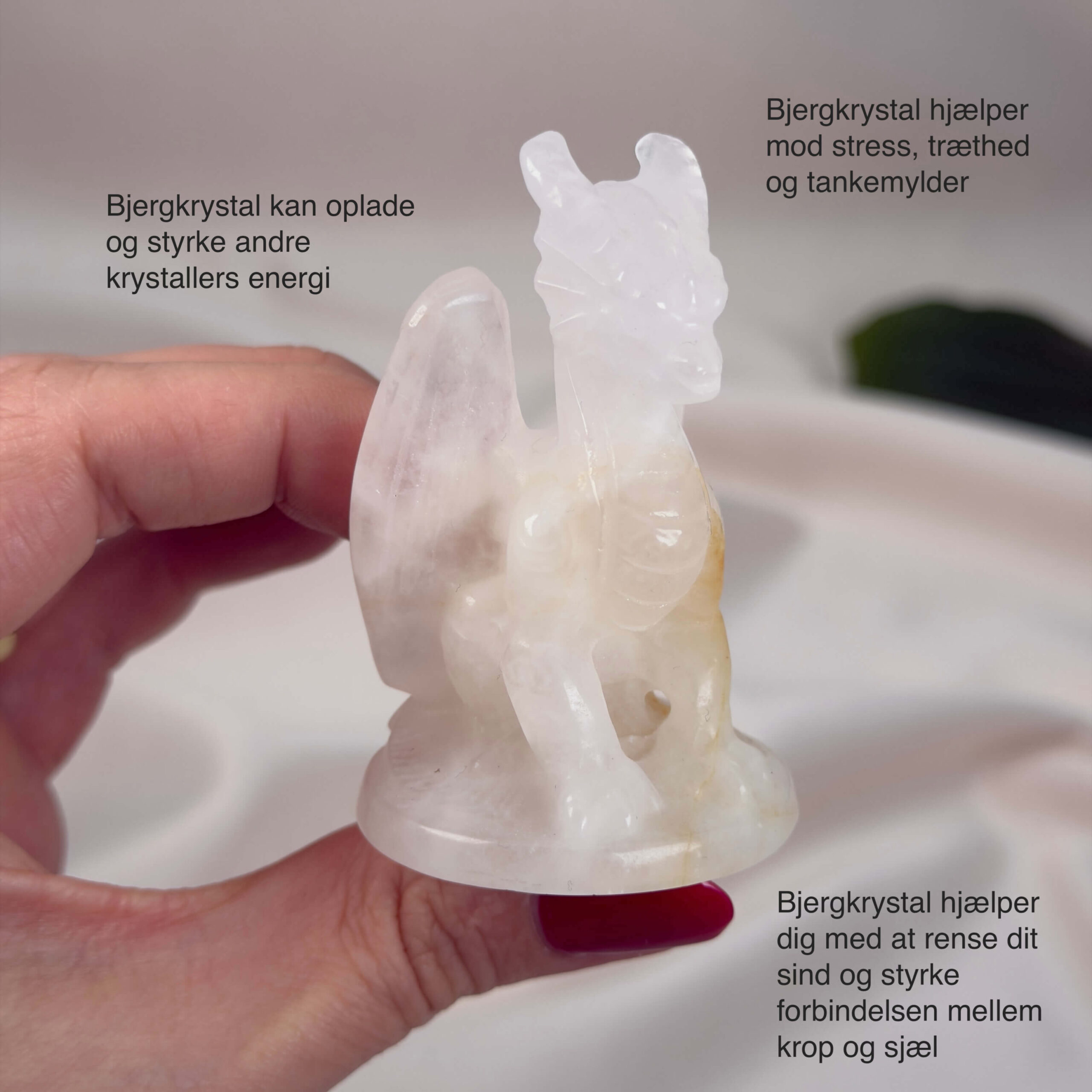 Bjergkrystal Drage krystal sten i hånd på hvid baggrund med tags