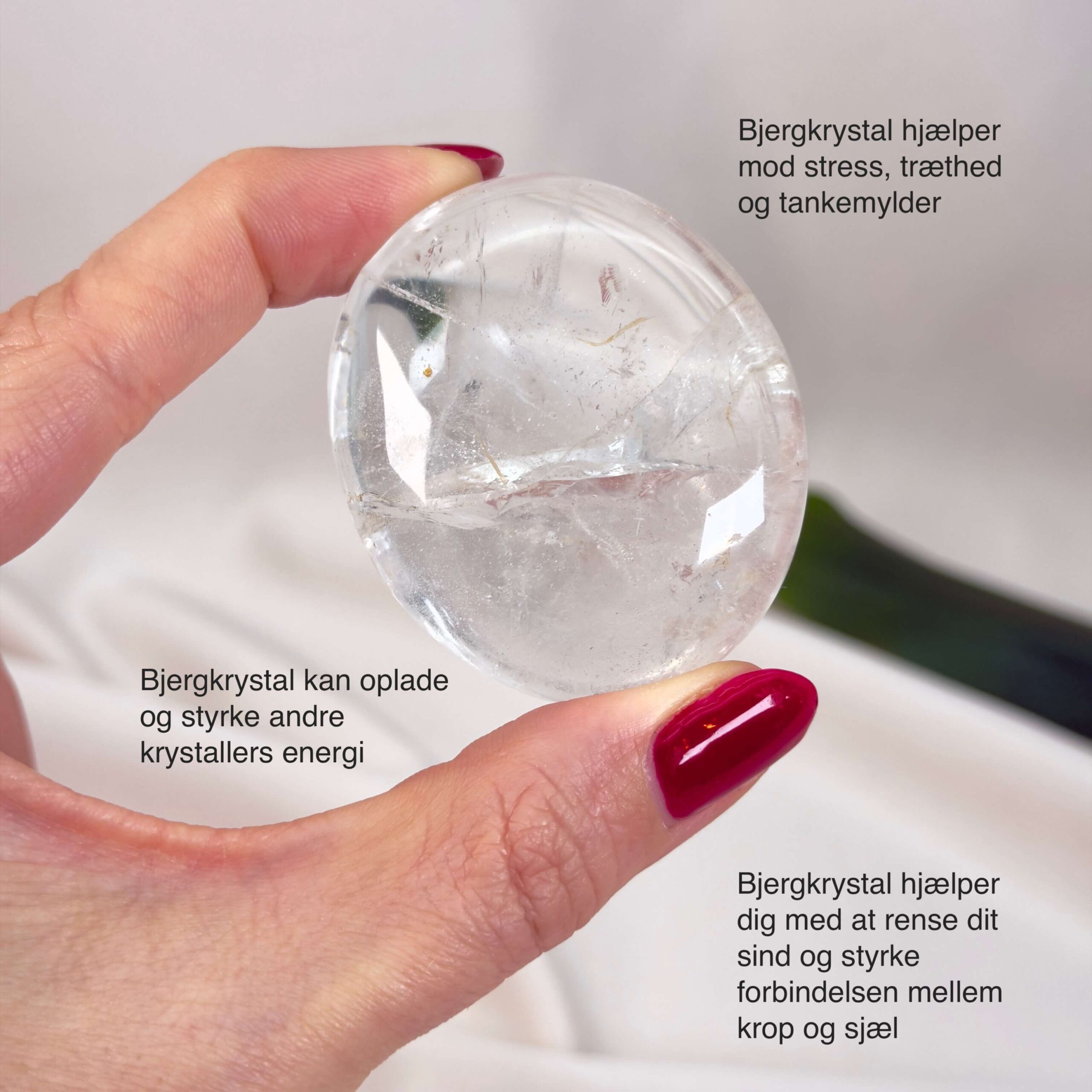 Bjergkrystal Håndsten krystal sten i hånd på hvid baggrund med tags