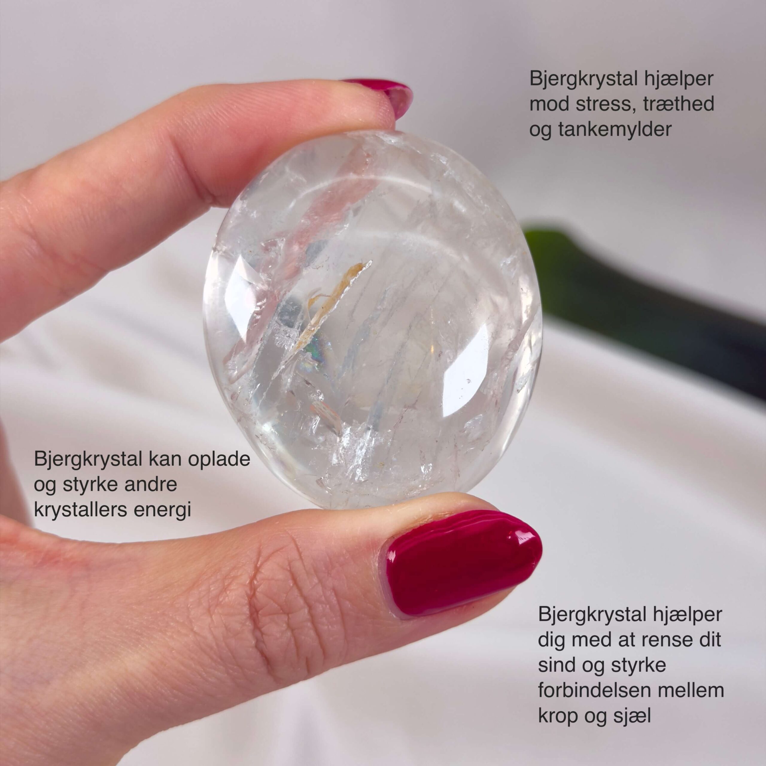 Bjergkrystal Håndsten krystal sten i hånd på hvid baggrund med tags