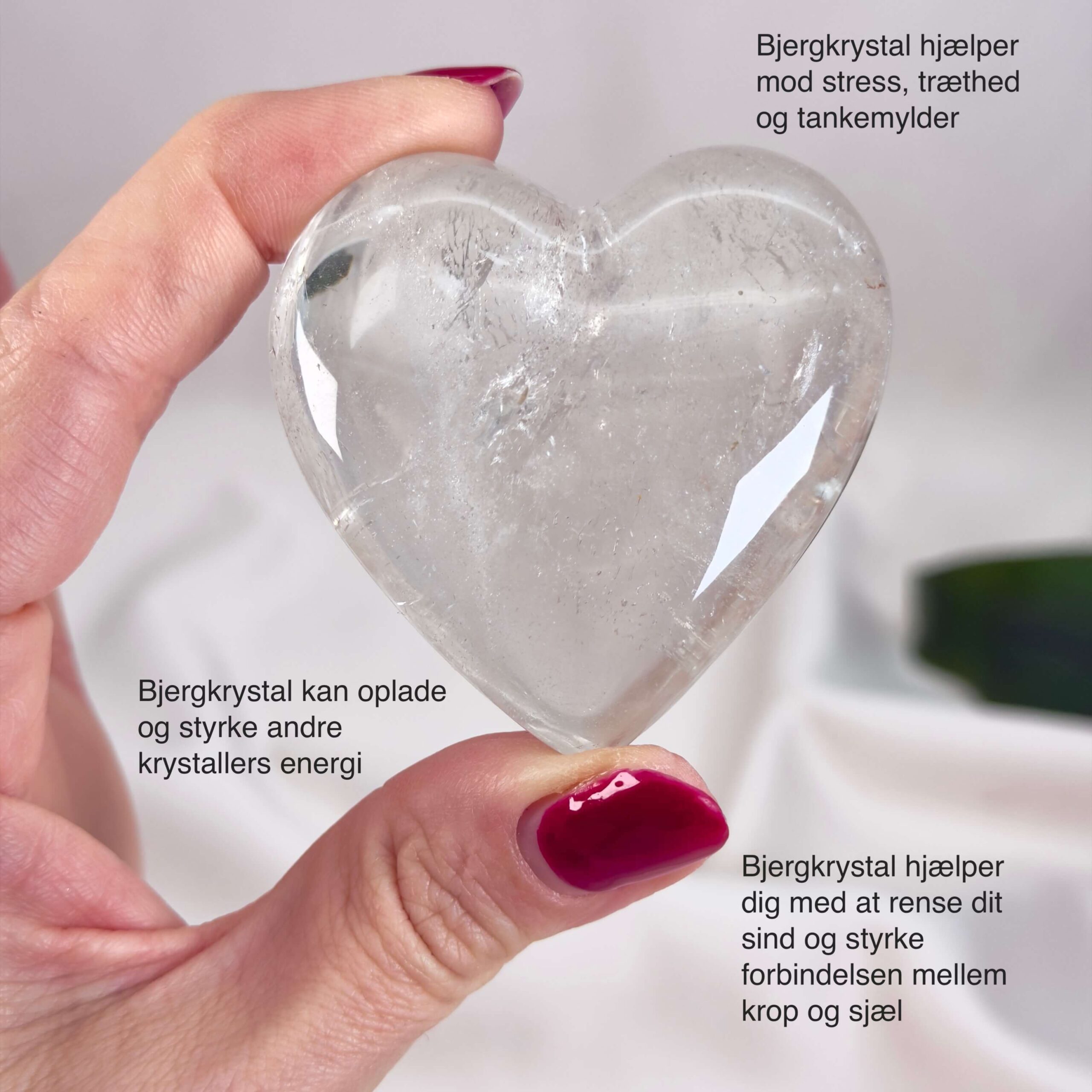 Bjergkrystal Drage krystal sten i hånd på hvid baggrund med tags