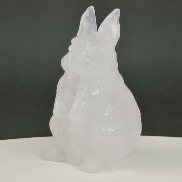 Bjergkrystal Kanin krystal sten på sort baggrund