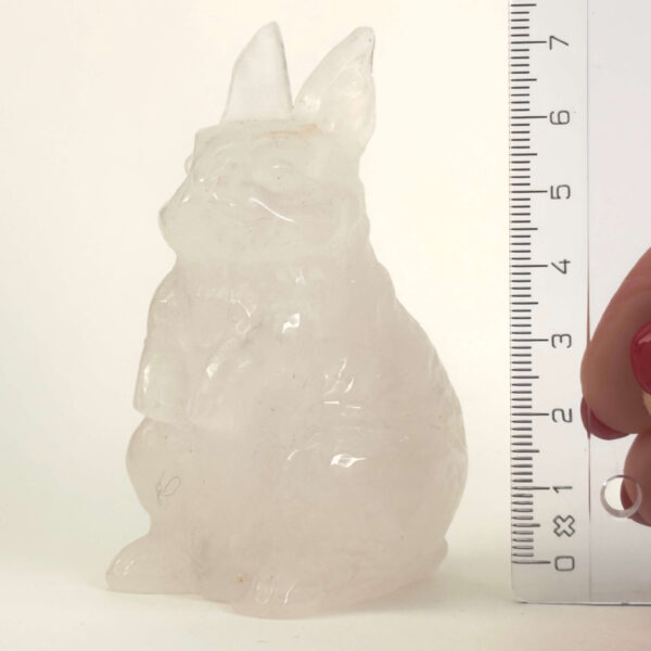 Bjergkrystal Kanin krystal sten med lineal på hvid baggrund