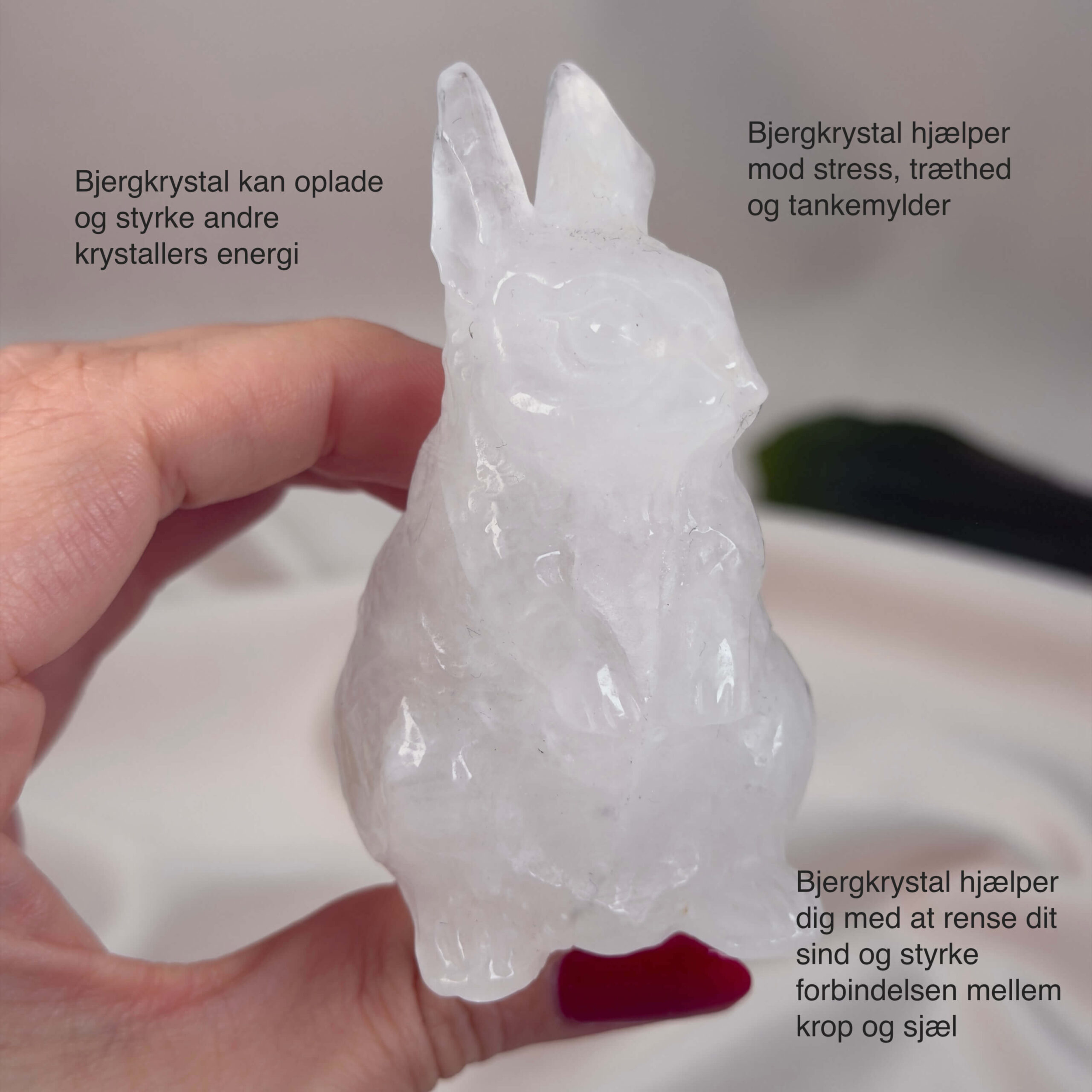 Bjergkrystal Kanin krystal sten i hånd på hvid baggrund med tags