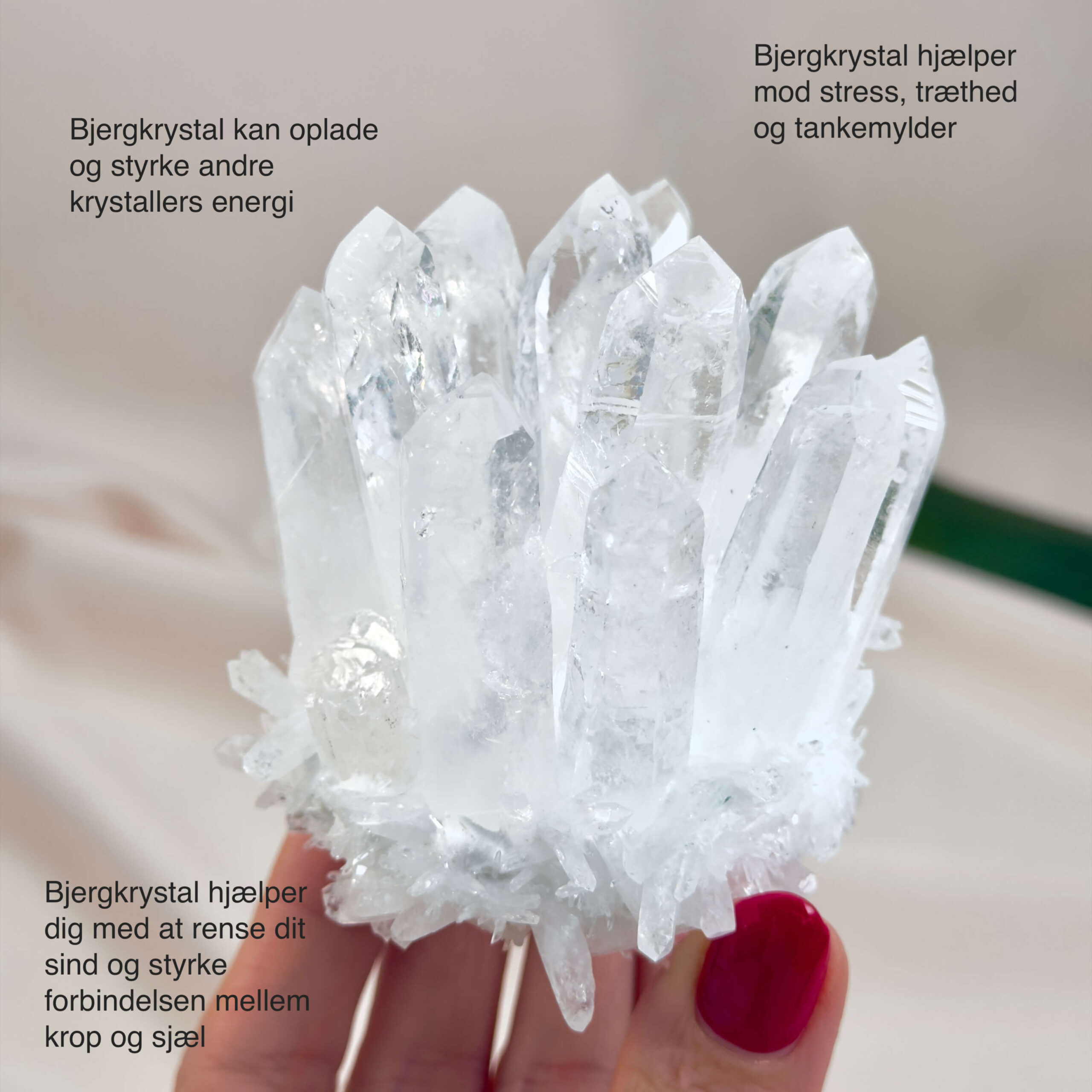 Bjergkrystal Klynge krystal sten i hånd på hvid baggrund med tags