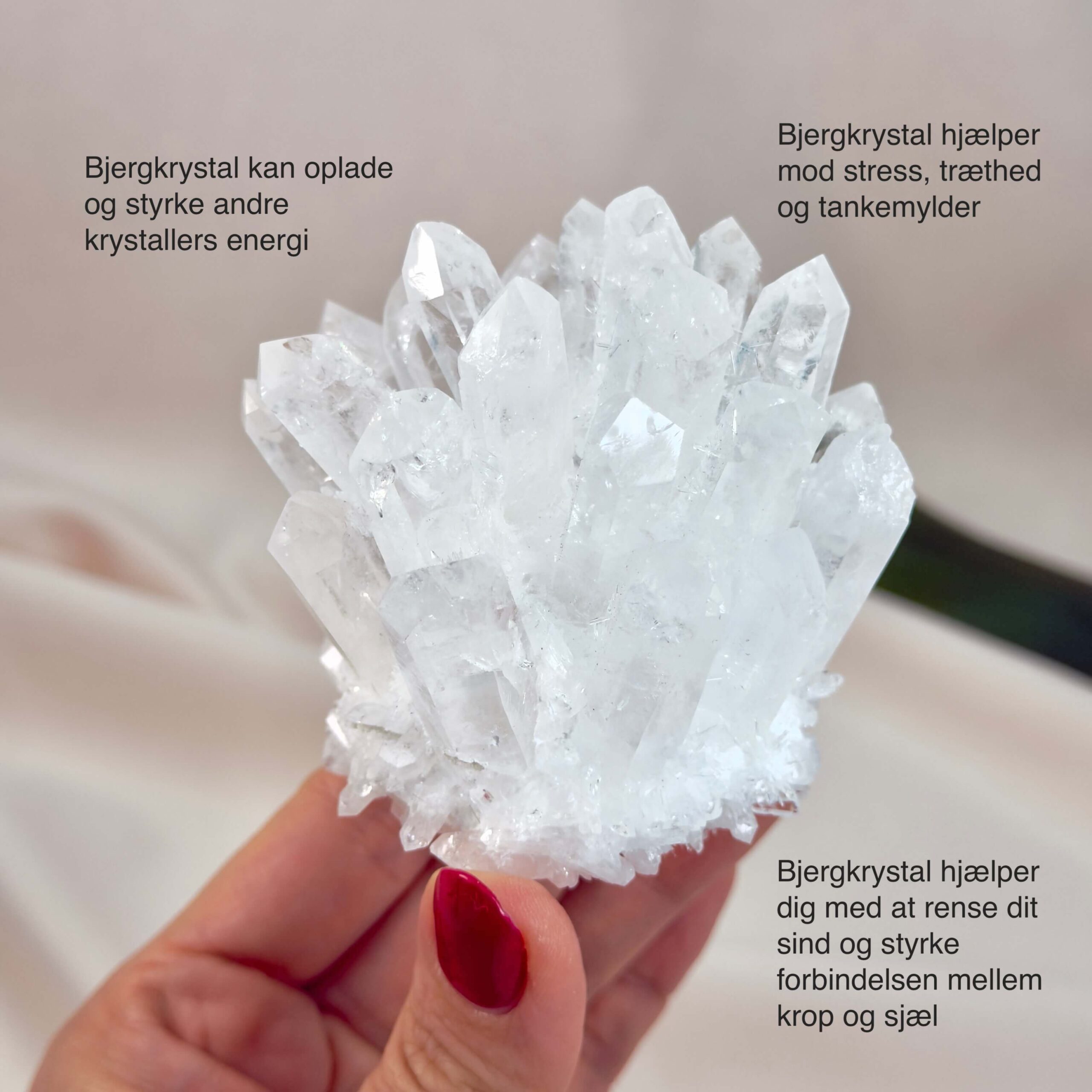 Bjergkrystal Klynge krystal sten i hånd på hvid baggrund med tags