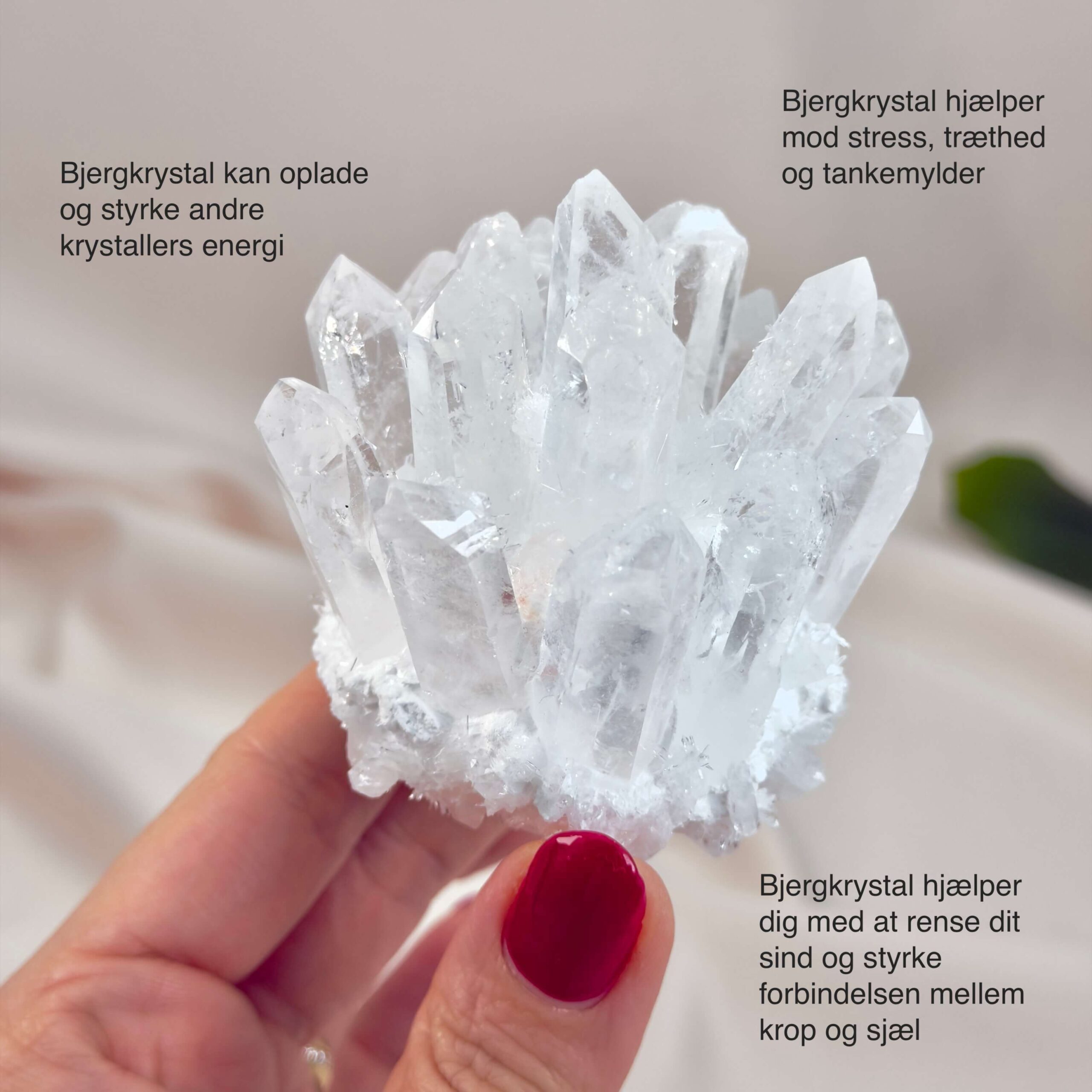 Bjergkrystal Klynge krystal sten i hånd på hvid baggrund med tags