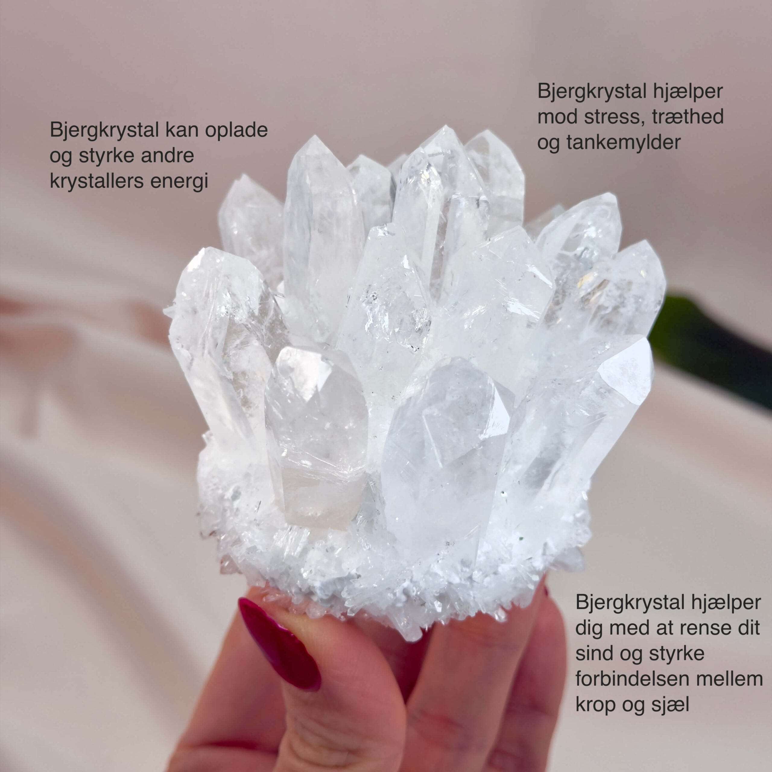 Bjergkrystal Klynge krystal sten i hånd på hvid baggrund med tags