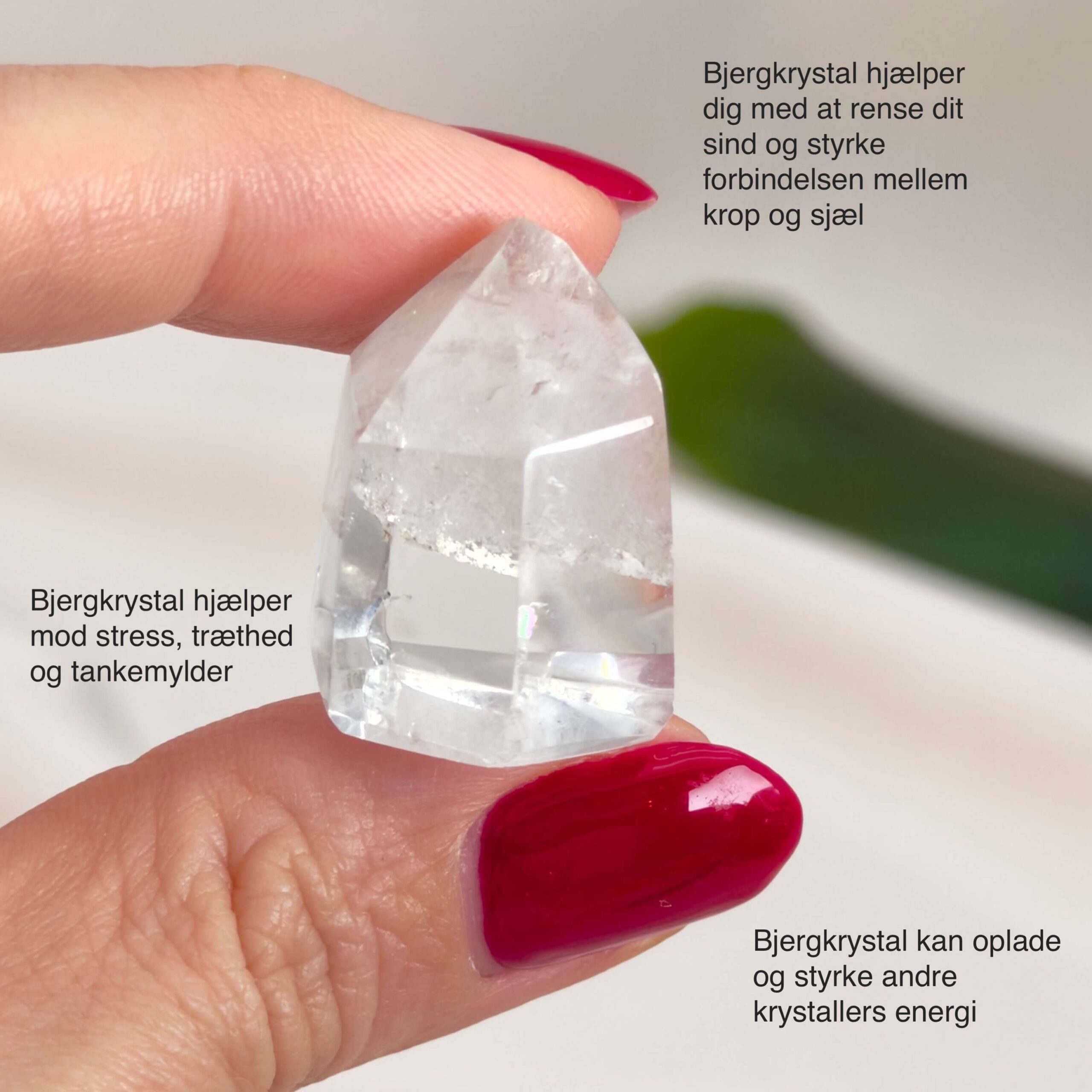 Mini Bjergkrystal Spids krystal sten i hånd på hvid baggrund med tags