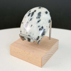 Dalmatiner Jaspis Håndsten Krystal Sten på sort baggrund