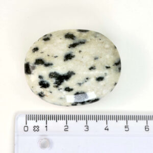 Dalmatiner Jaspis Håndsten Krystal Sten med lineal på hvid baggrund