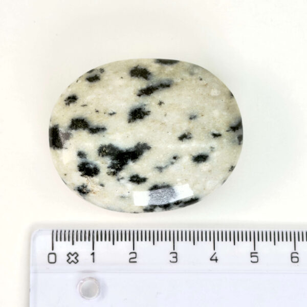 Dalmatiner Jaspis Håndsten Krystal Sten med lineal på hvid baggrund