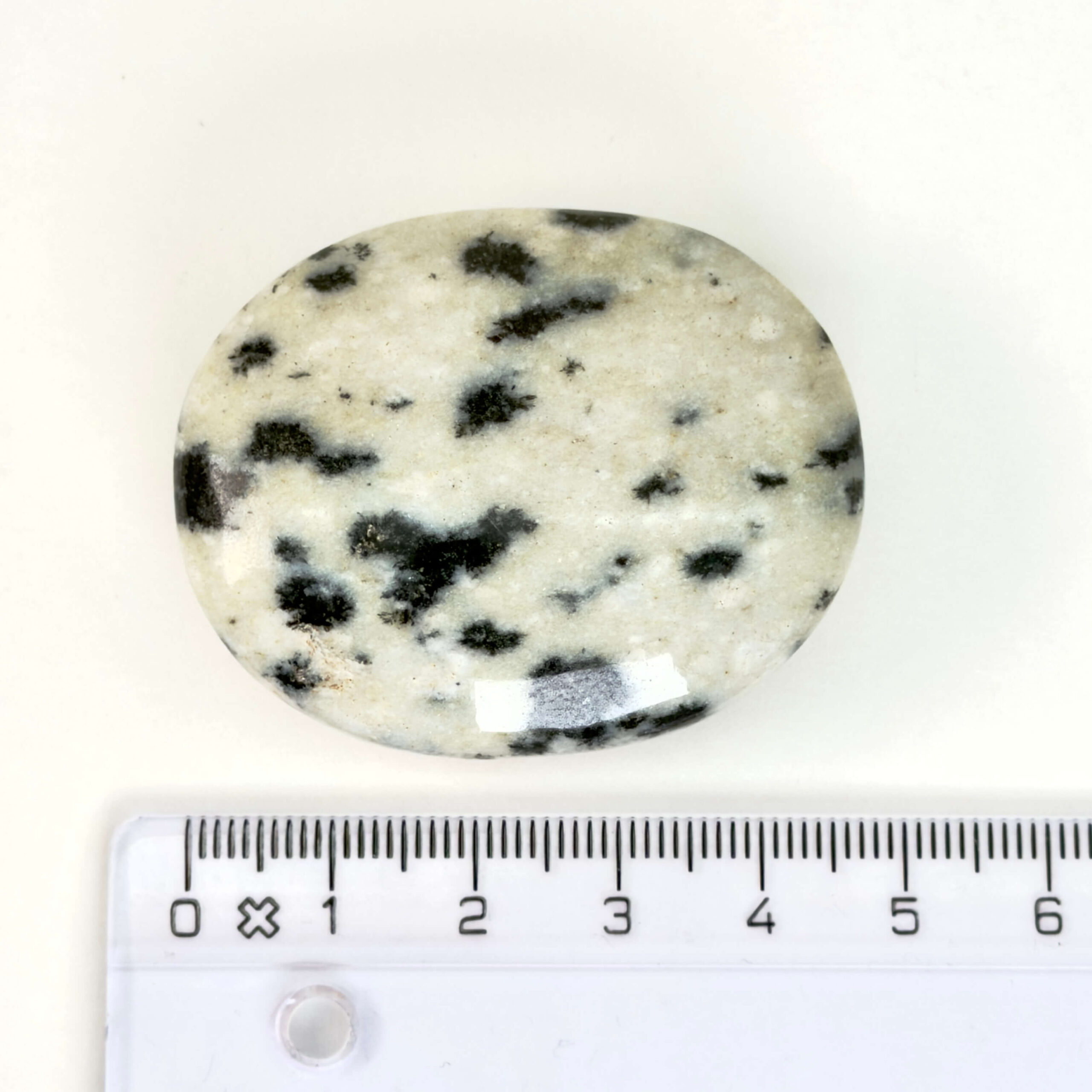 Dalmatiner Jaspis Håndsten Krystal Sten med lineal på hvid baggrund