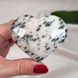 Dalmatiner Jaspis Hjerte Krystal Sten i hånd på hvid baggrund