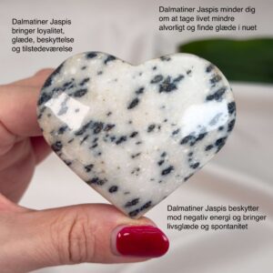 Dalmatiner Jaspis Hjerte Krystal Sten i hånd på hvid baggrund med tags