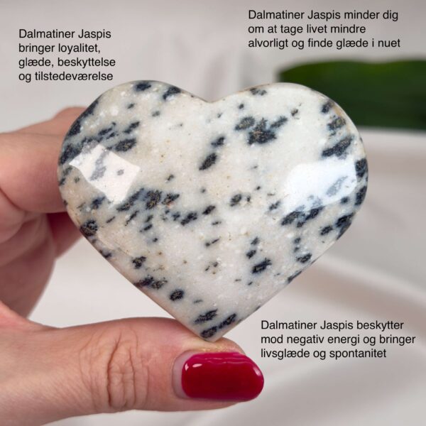 Dalmatiner Jaspis Hjerte Krystal Sten i hånd på hvid baggrund med tags