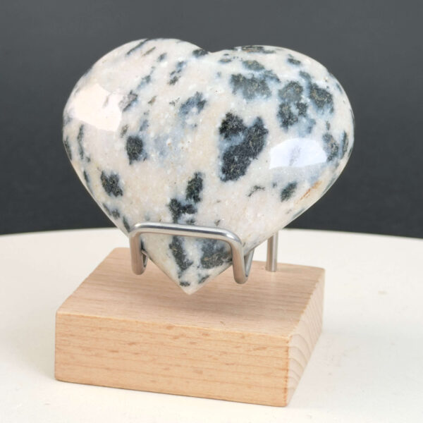 Dalmatiner Jaspis Hjerte Krystal Sten i holder på hvid baggrund
