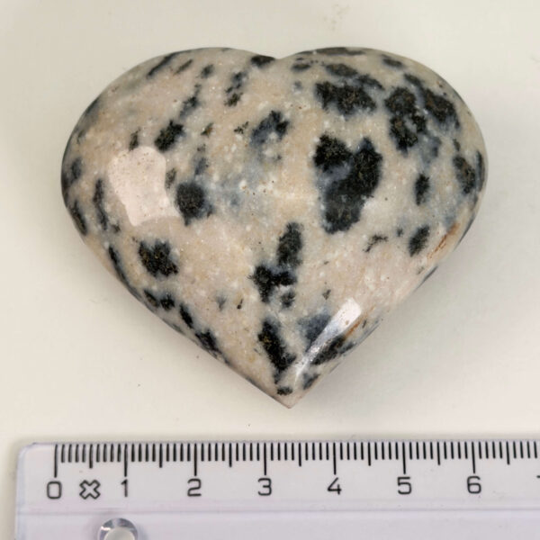 Dalmatiner Jaspis Hjerte Krystal Sten med lineal på hvid baggrund
