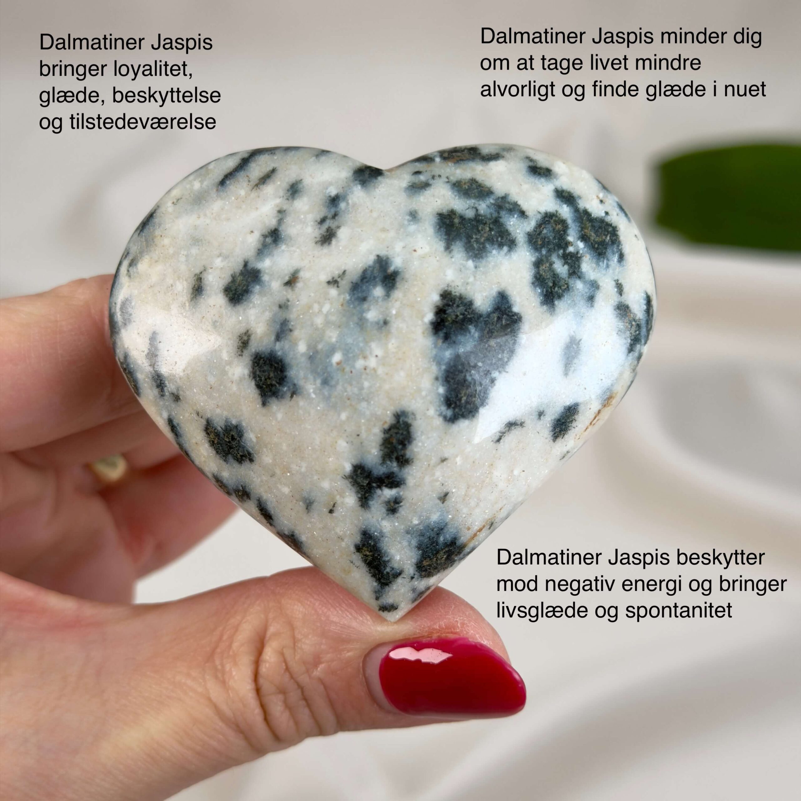 Dalmatiner Jaspis Hjerte Krystal Sten i hånd på hvid baggrund med tags