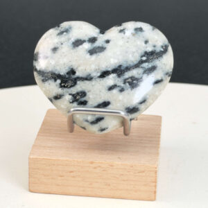 Dalmatiner Jaspis Hjerte Krystal Sten i holder på hvid baggrund