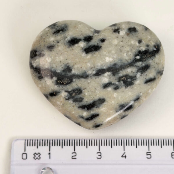 Dalmatiner Jaspis Hjerte Krystal Sten med lineal på hvid baggrund