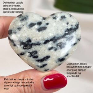 Dalmatiner Jaspis Hjerte Krystal Sten i hånd på hvid baggrund med tags