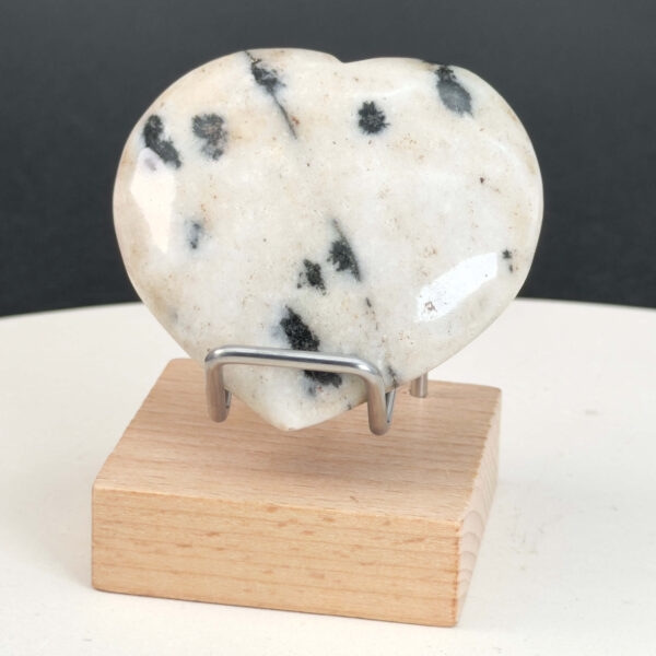 Dalmatiner Jaspis Hjerte Krystal Sten i holder på hvid baggrund