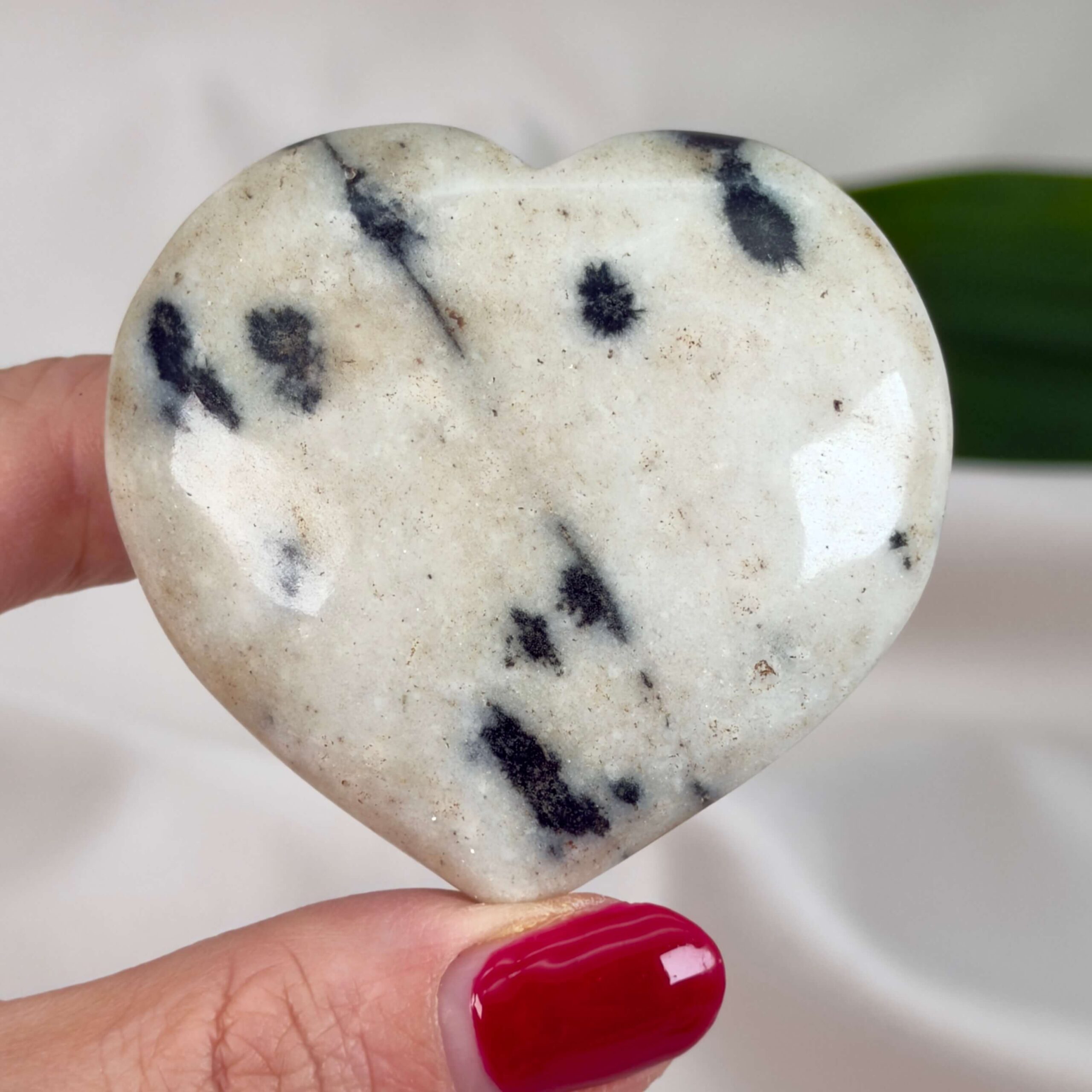 Dalmatiner Jaspis Hjerte Krystal Sten i hånd på hvid baggrund