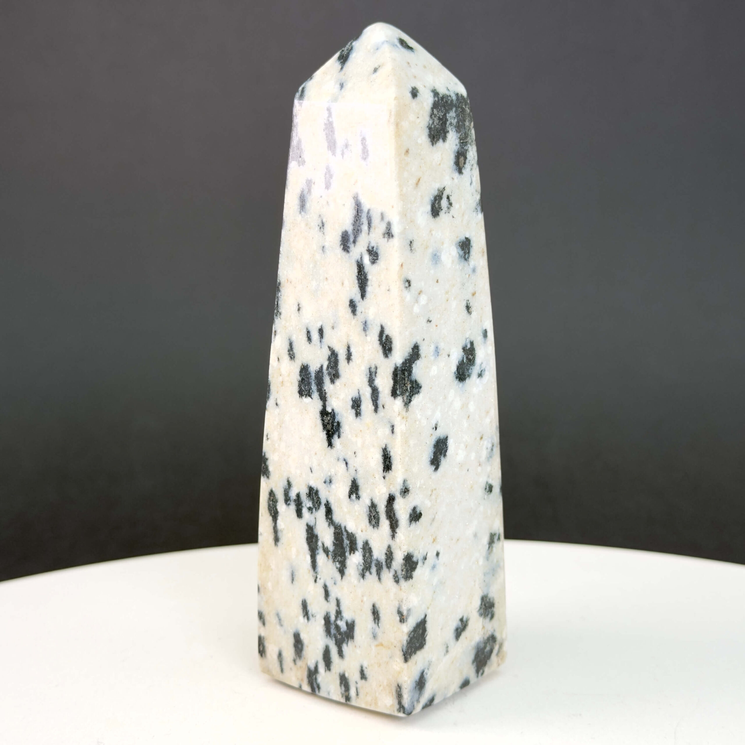 Dalmatiner Jaspis Tårn Krystal Sten på sort baggrund