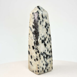 Dalmatiner Jaspis Tårn Krystal Sten på hvid baggrund