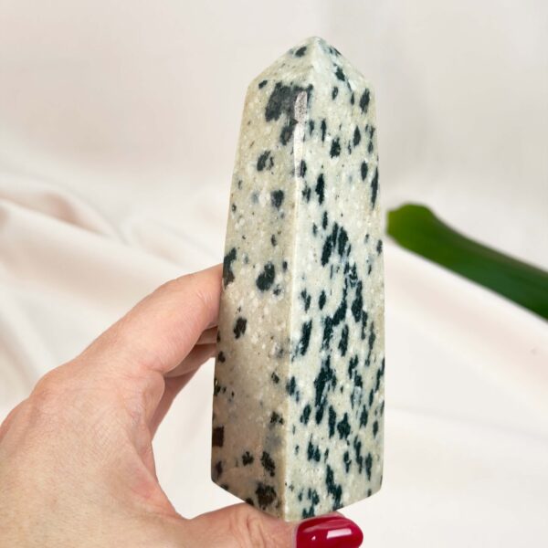 Dalmatiner Jaspis Tårn Krystal Sten i hånd på hvid baggrund