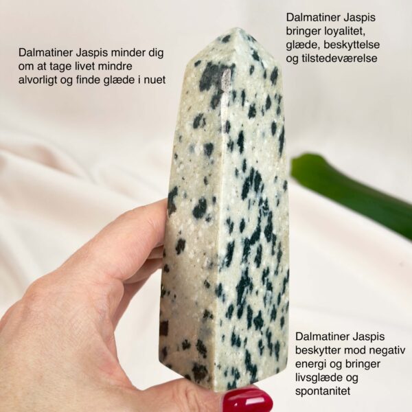 Dalmatiner Jaspis Tårn Krystal Sten i hånd på hvid baggrund