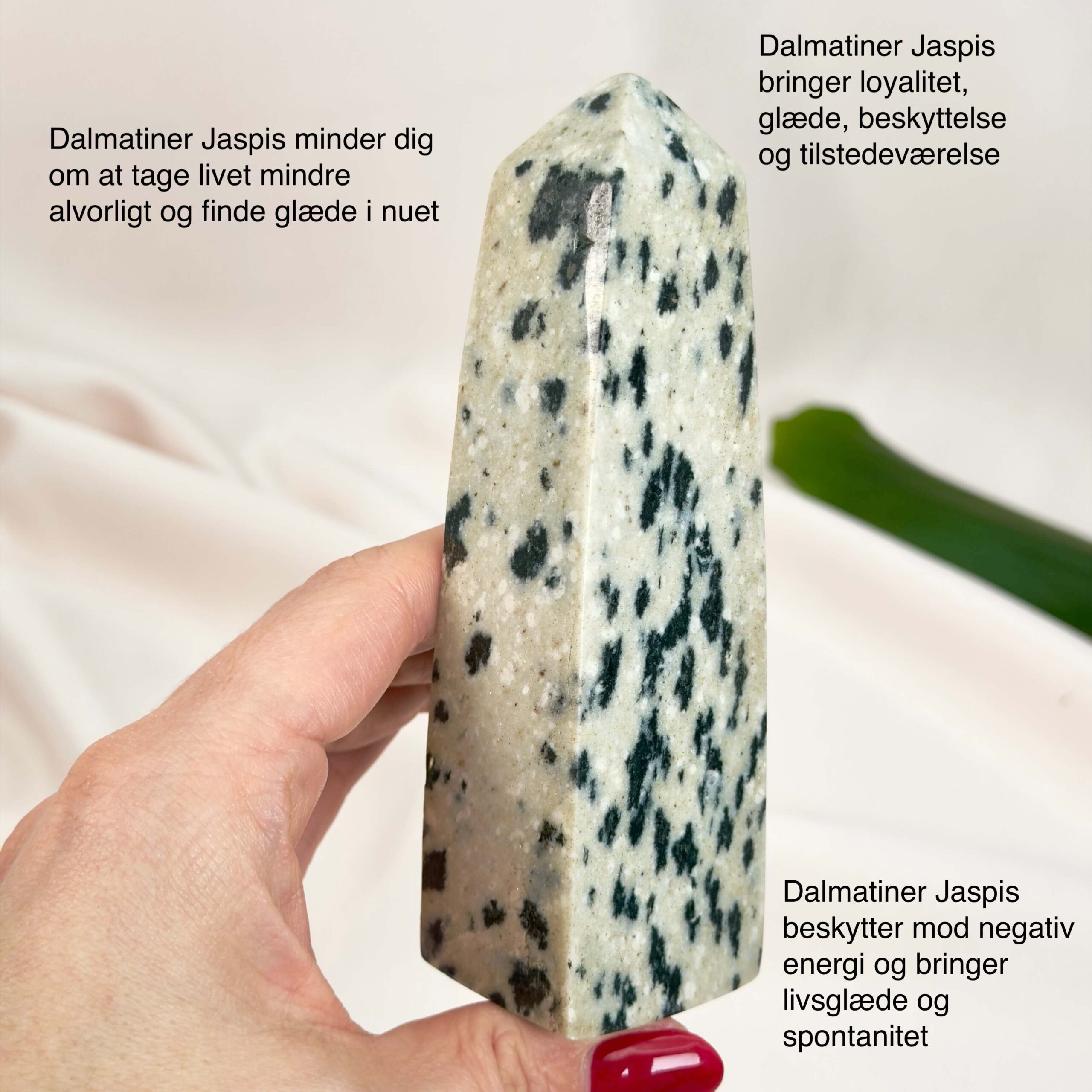 Dalmatiner Jaspis Tårn Krystal Sten i hånd på hvid baggrund