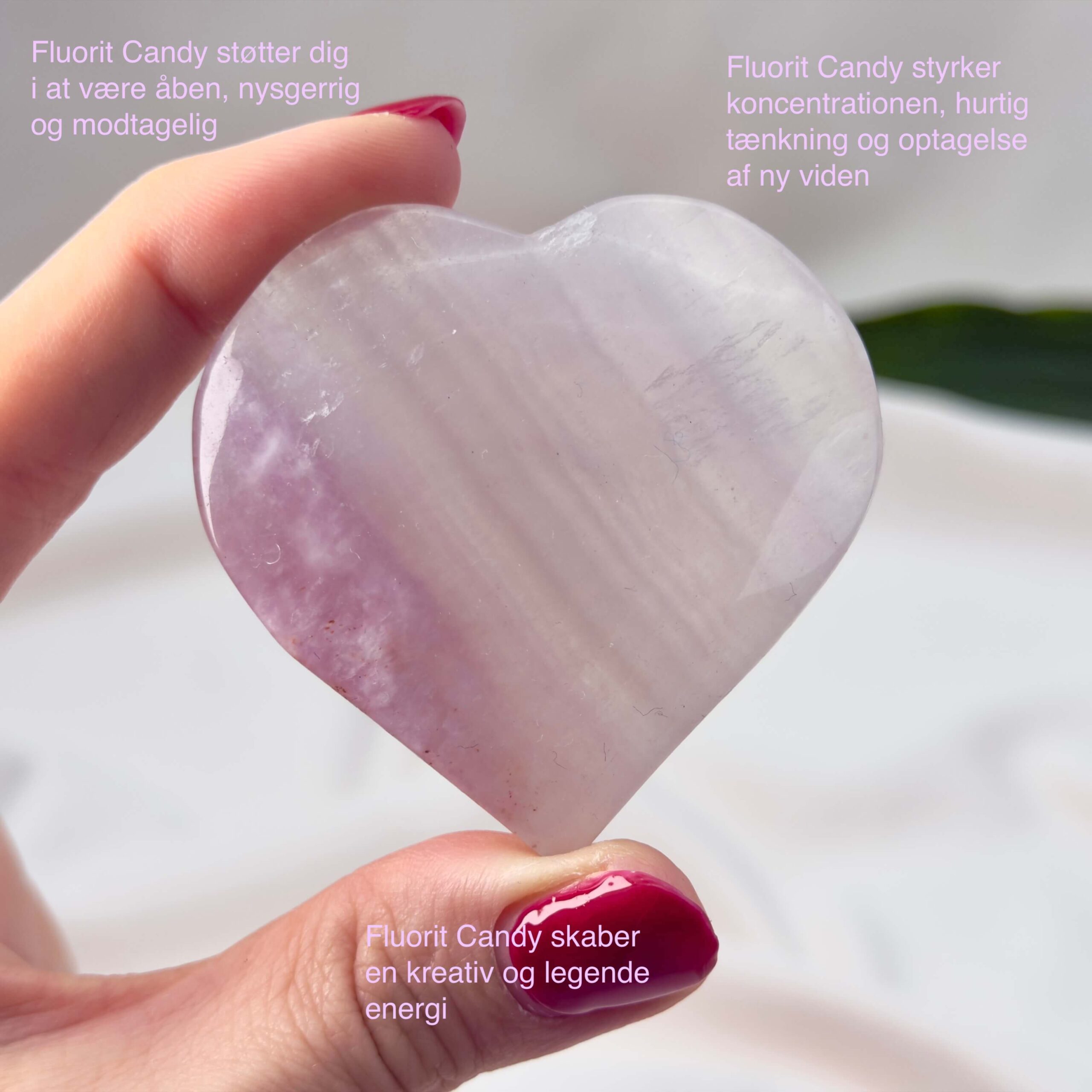 Fluorit Candy Hjerte Krystal Sten i hånd på hvid baggrund med tags