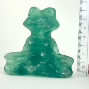 Fluorit Grøn Meditationsfrø krystal sten med lineal på hvid baggrund