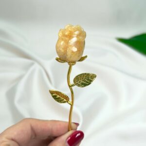 Golden Healer Rose med guldfarvet stilk i hånd på hvid baggrund