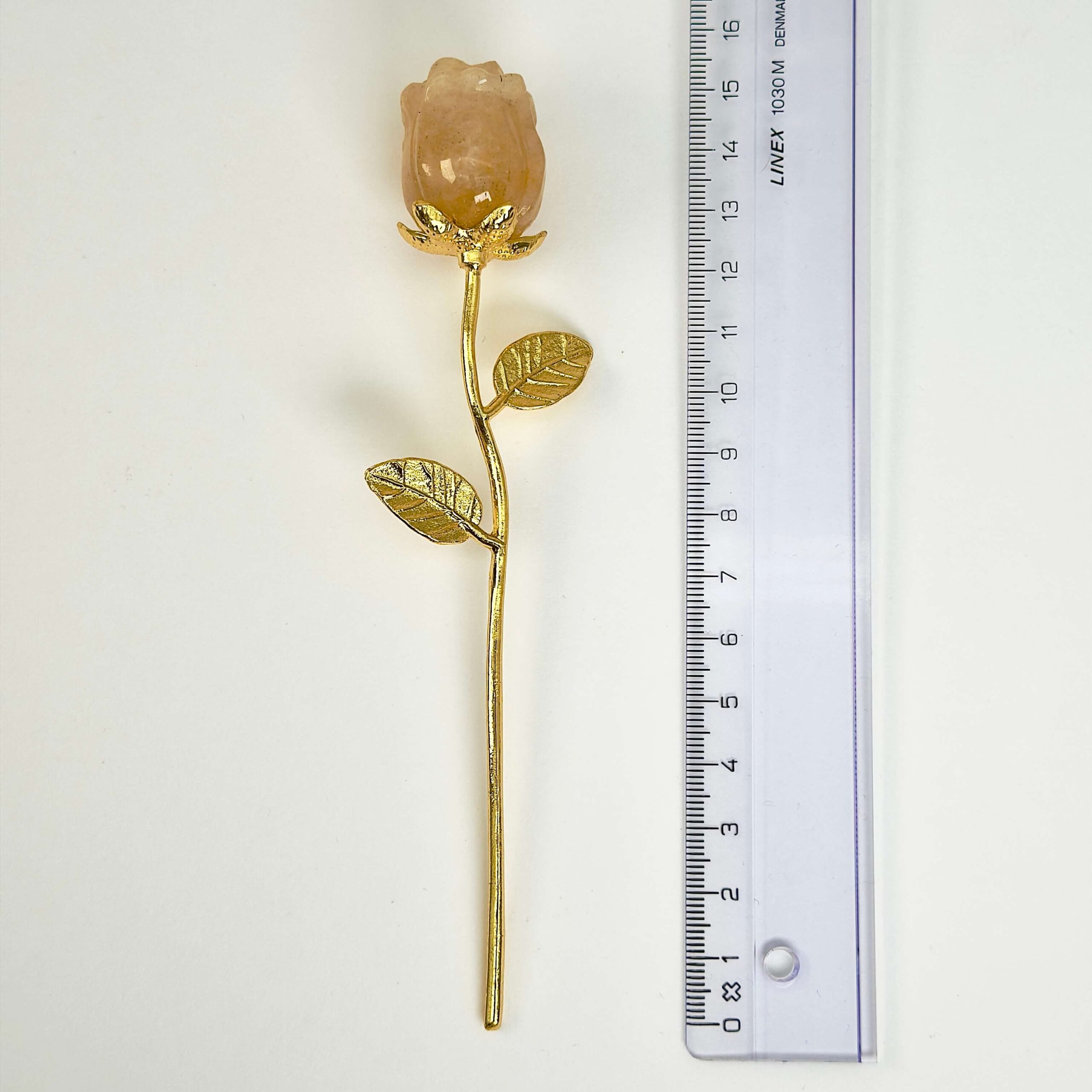 Golden Healer Rose med guldfarvet stilk med lineal på hvid baggrund