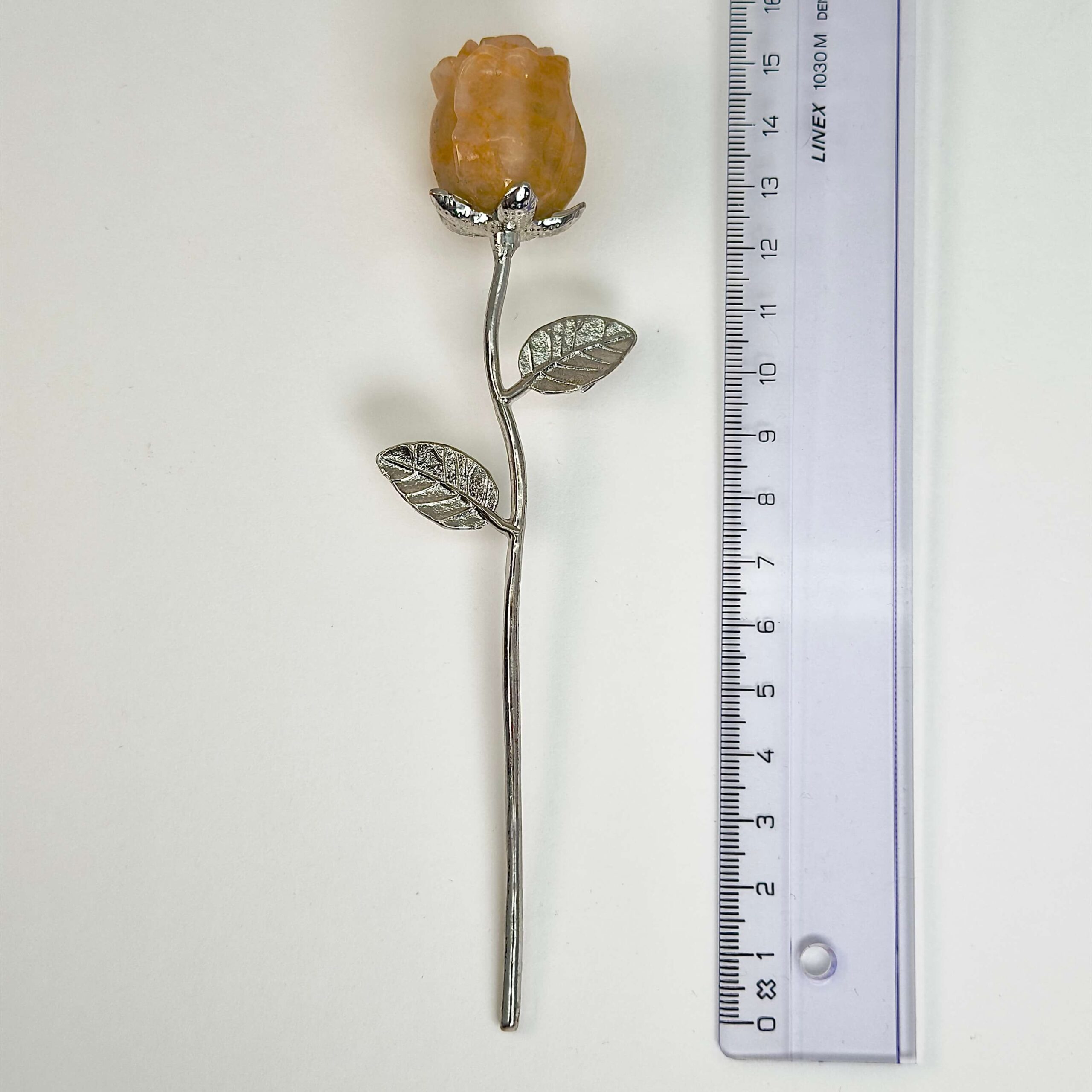 Golden Healer Rose med sølvfarvet med lineal på hvid baggrund