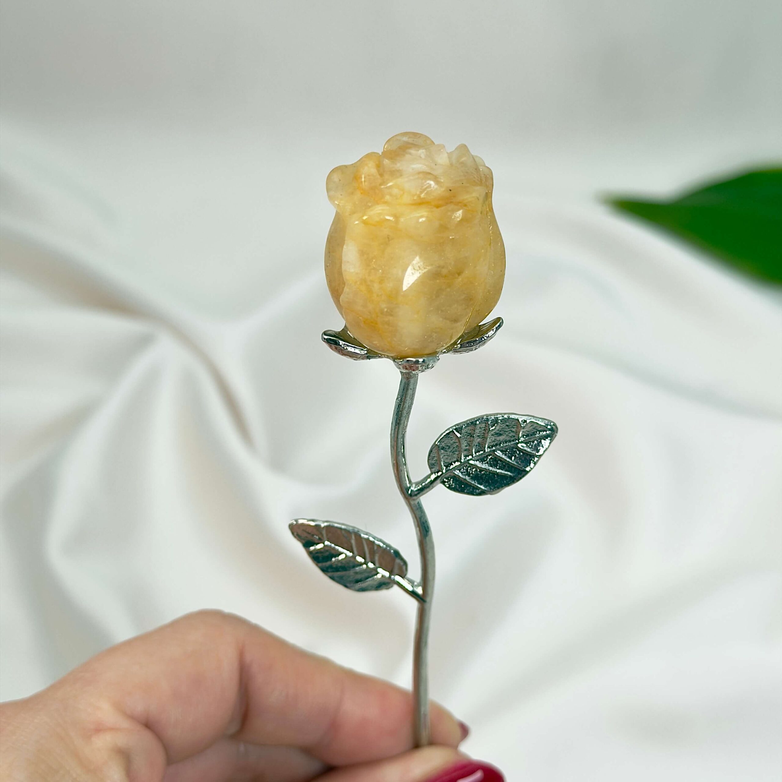 Golden Healer Rose med sølvfarvet stilk i hånd på hvid baggrund