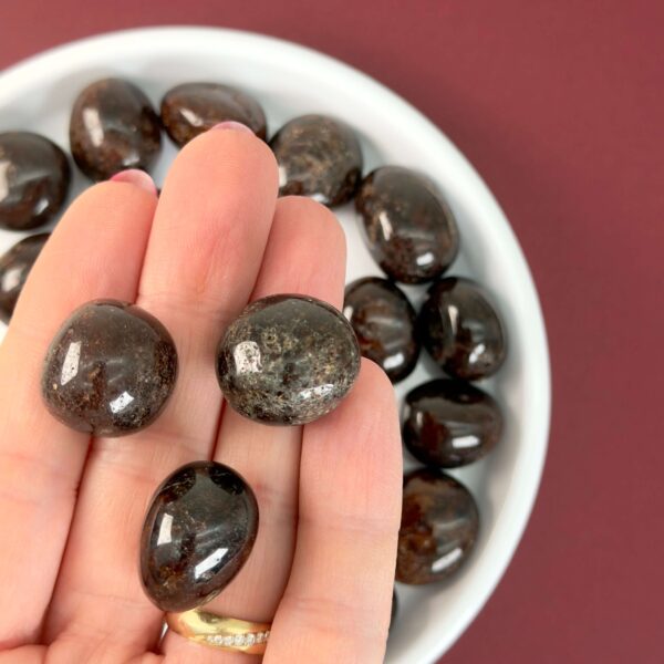 Granat Lommesten krystal sten samling på rød baggrund