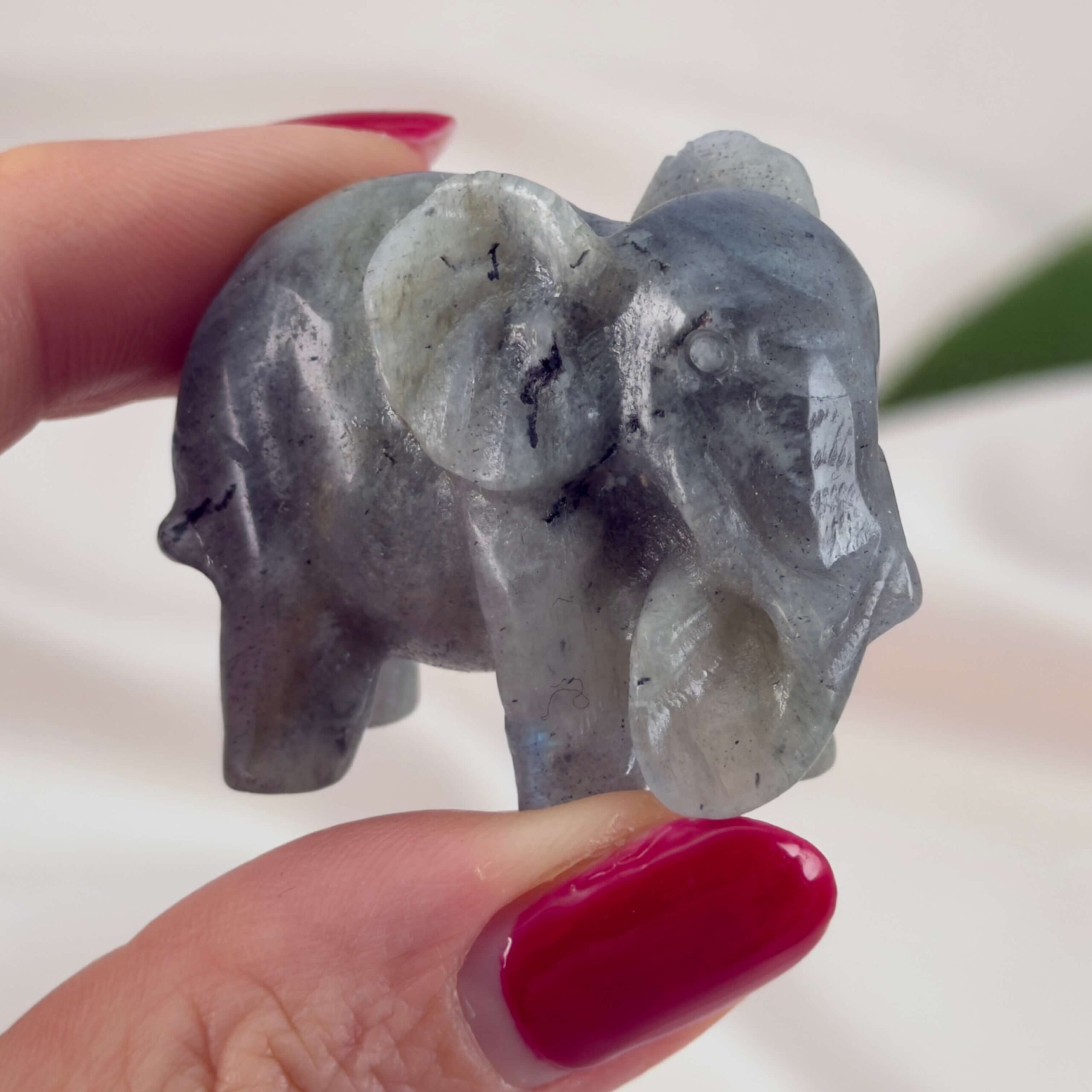 Krystal elefant 5 cm sten labradorit hånd