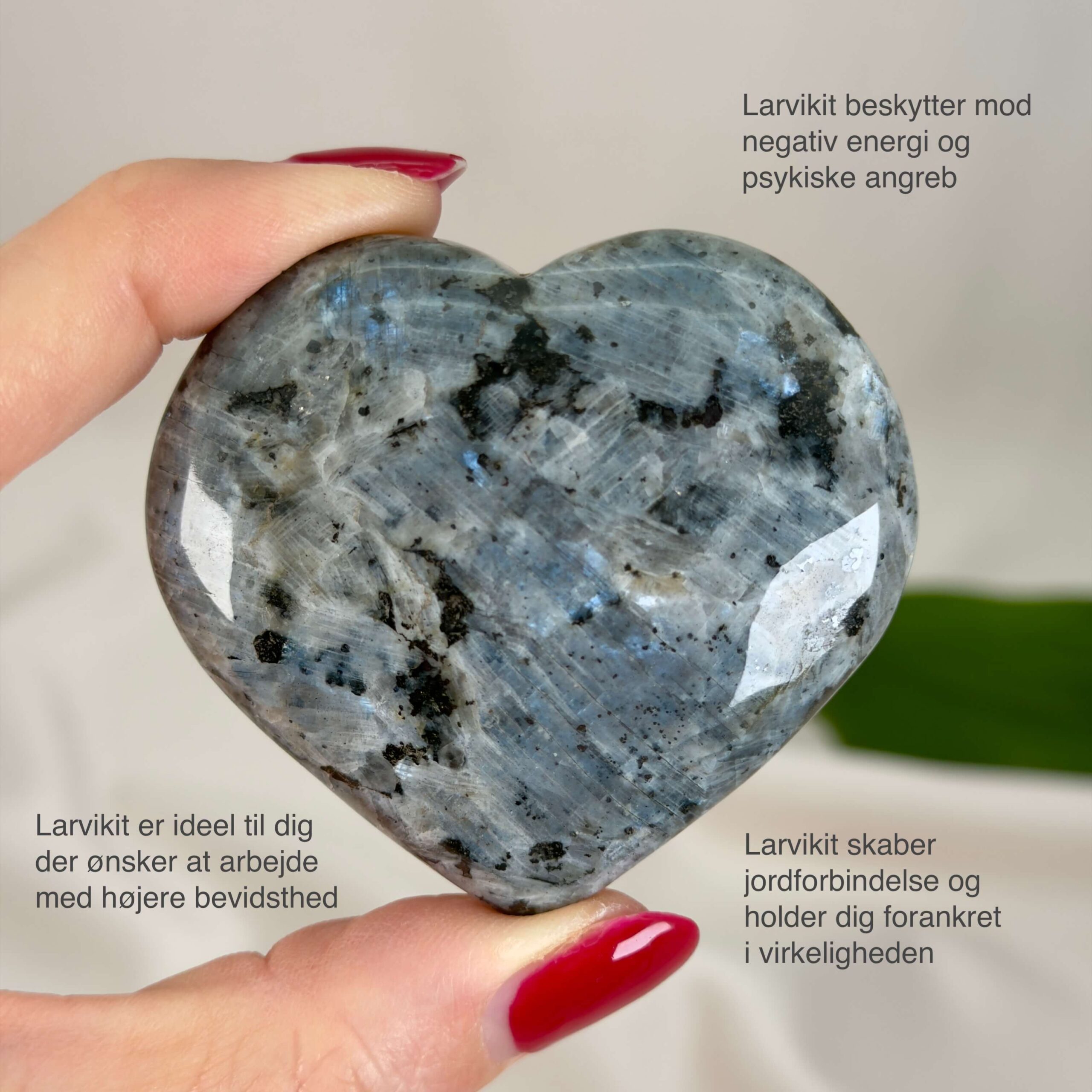 Larvikit Hjerte krystal sten i hånd på hvid baggrund med tags