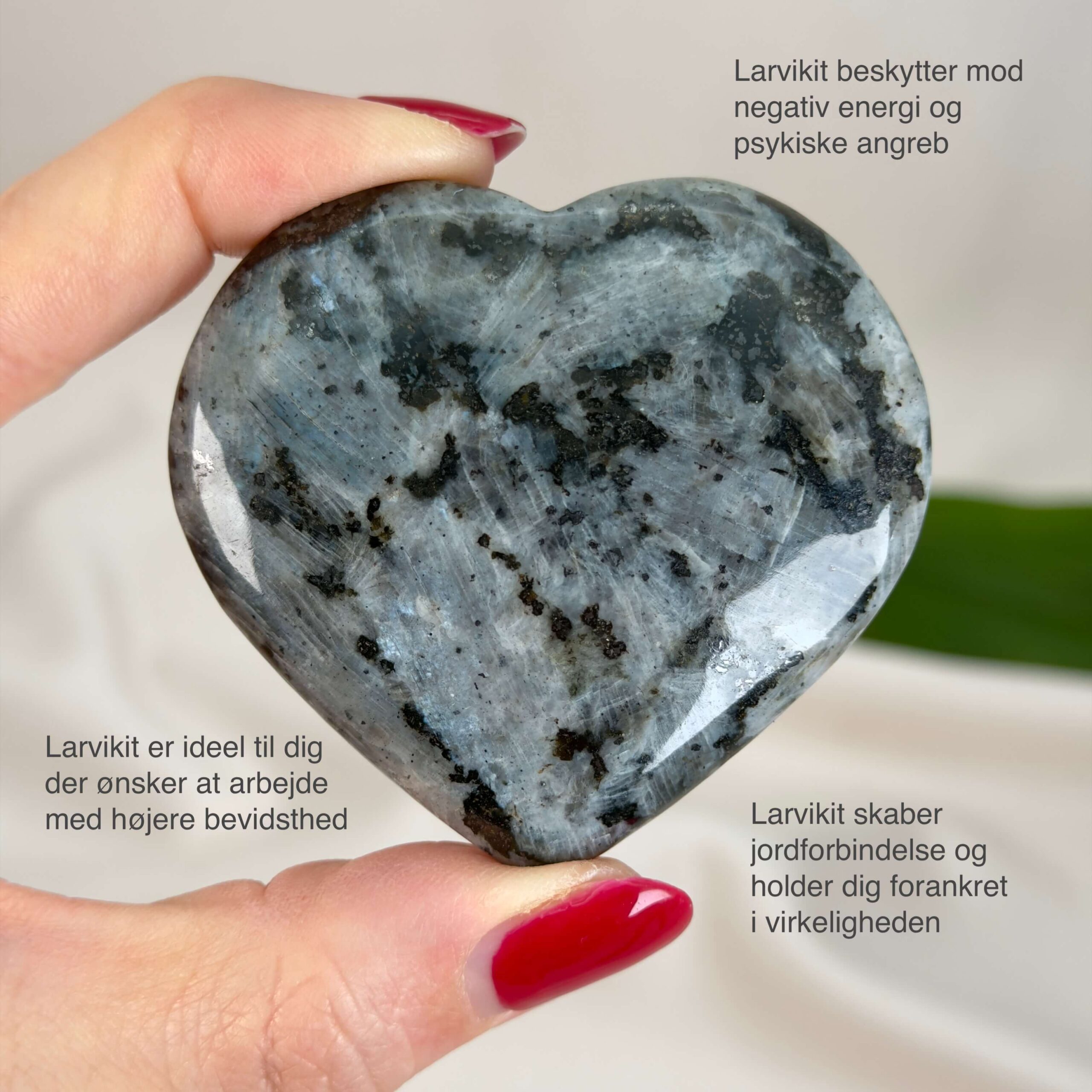 Larvikit Hjerte krystal sten i hånd på hvid baggrund med tags