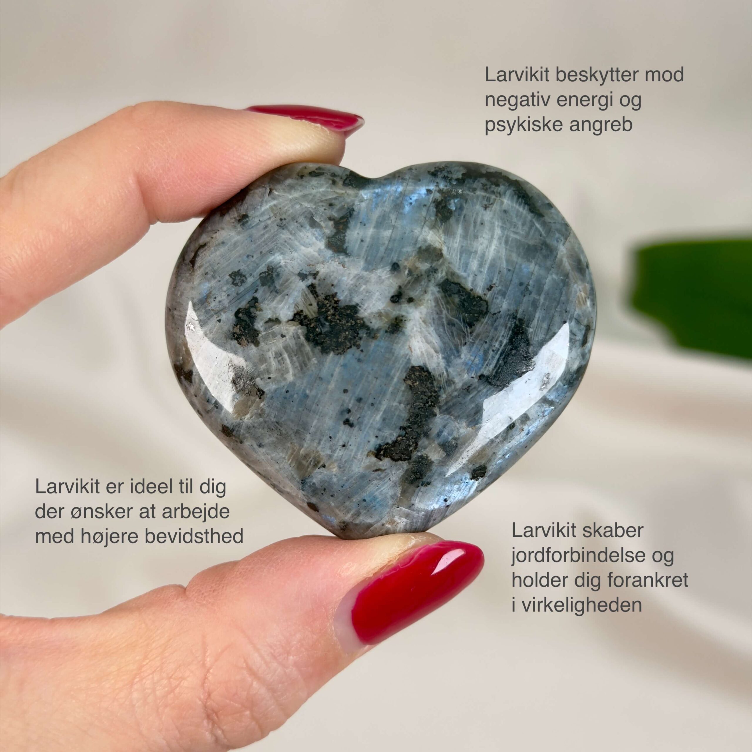 Larvikit Hjerte krystal sten i hånd på hvid baggrund med tags