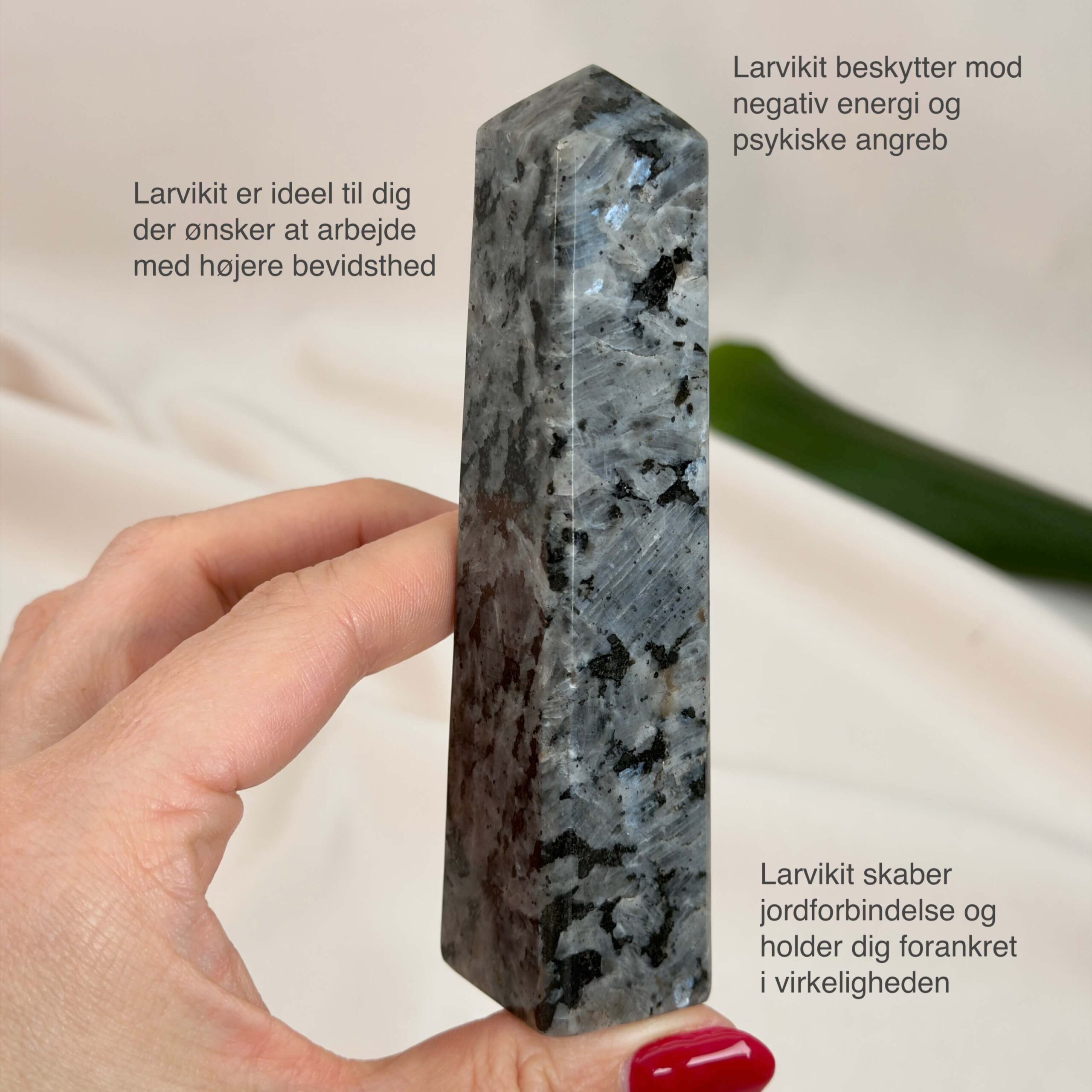 Larvikit Tårn krystal sten i hånd på hvid baggrund med tags