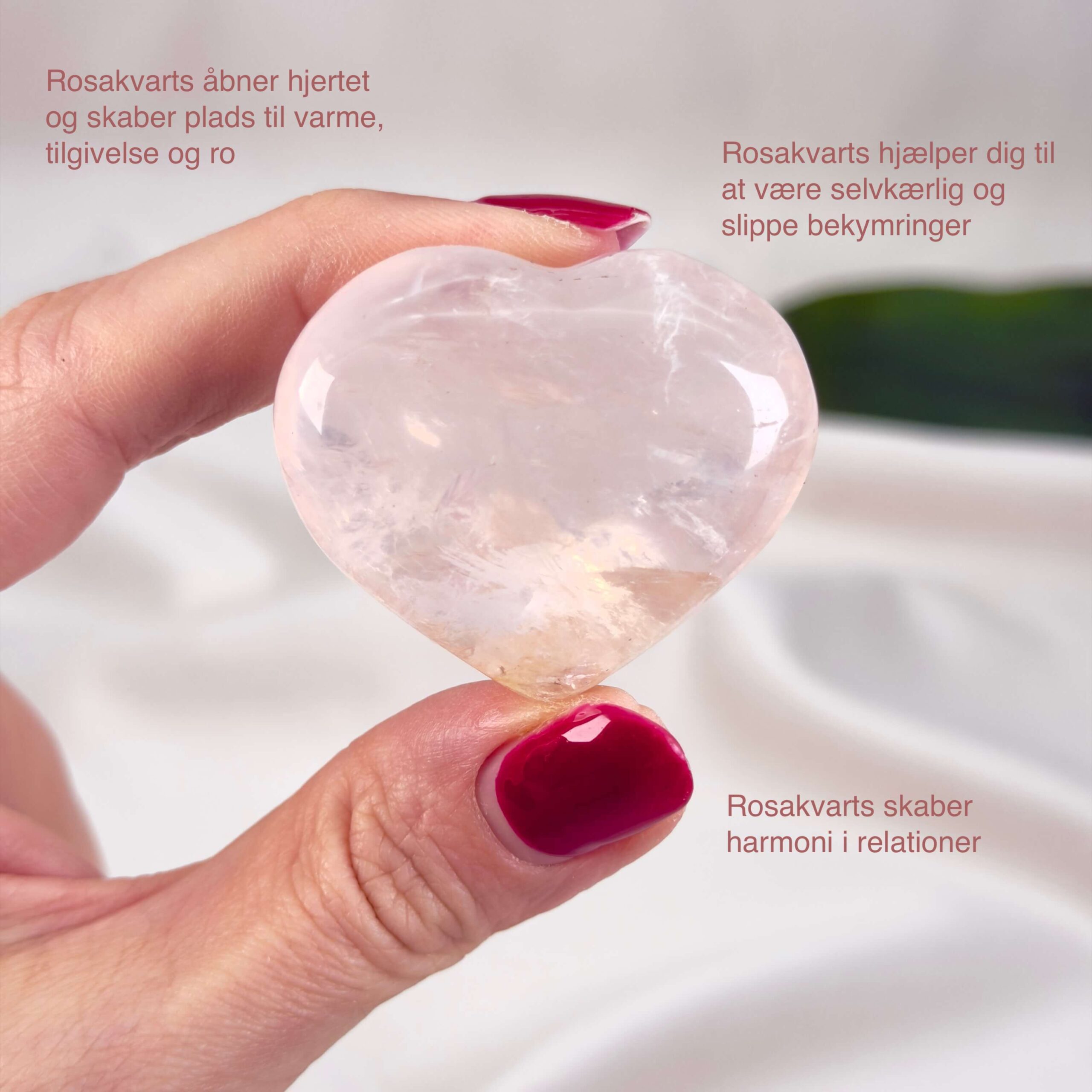 Rosakvarts Hjerte Krystal Sten på hvid baggrund i hånd med tags