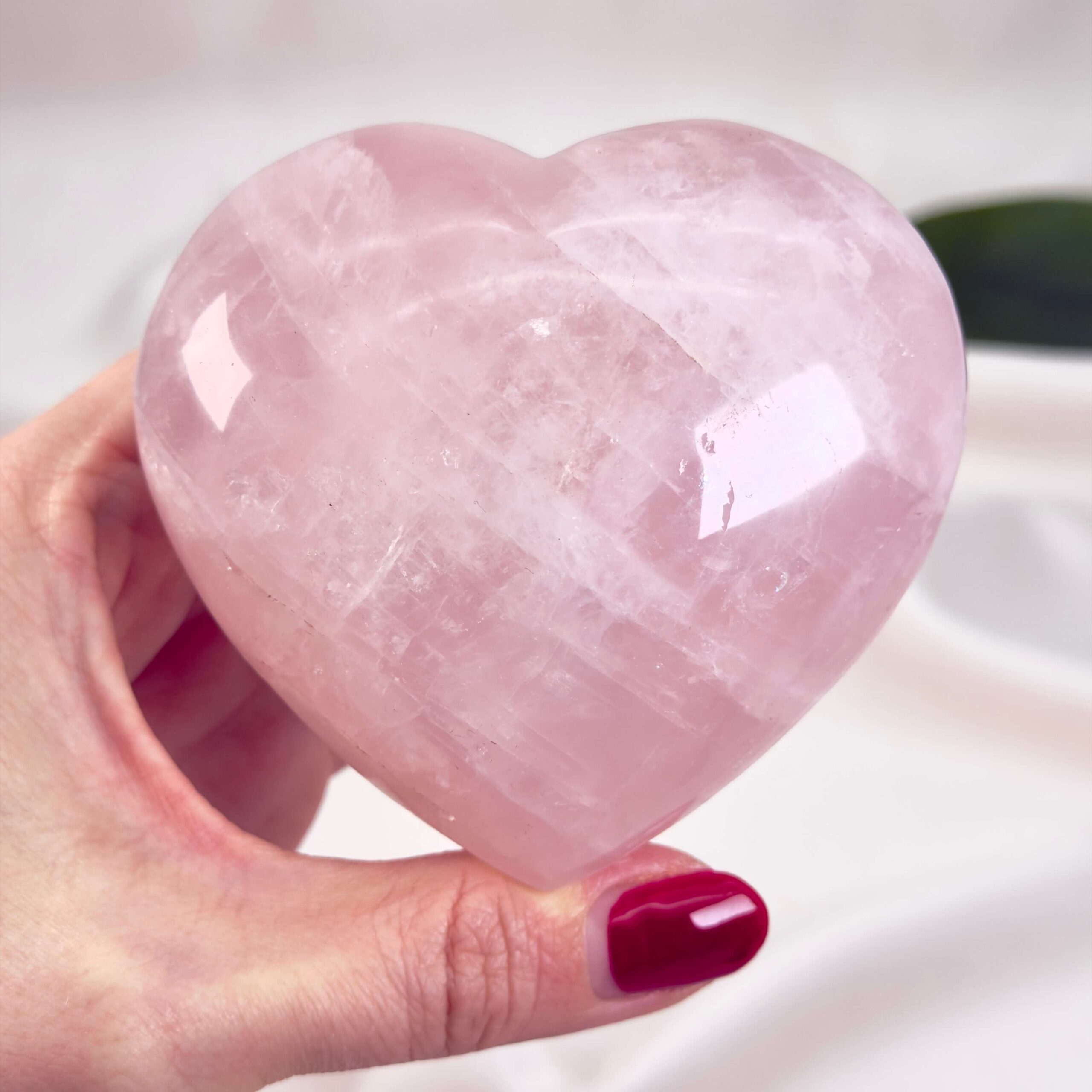 Rosakvarts Hjerte Krystal Sten på hvid baggrund i hånd