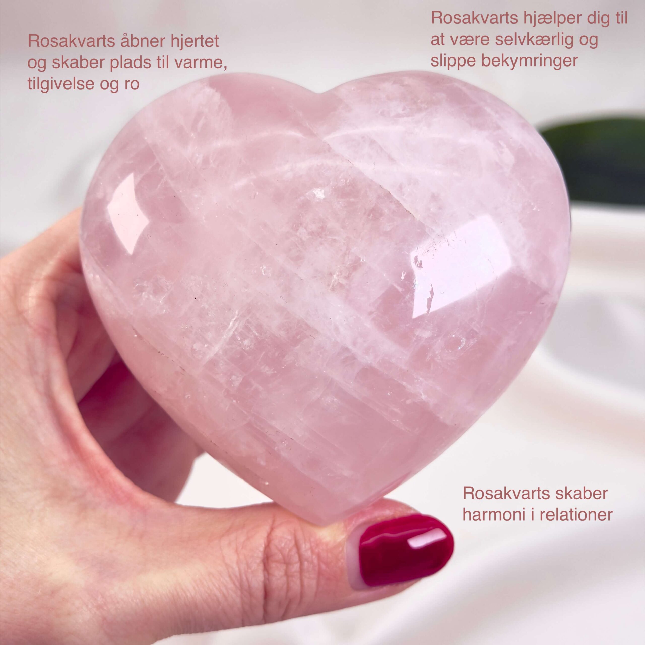 Rosakvarts Hjerte Krystal Sten på hvid baggrund i hånd med tags