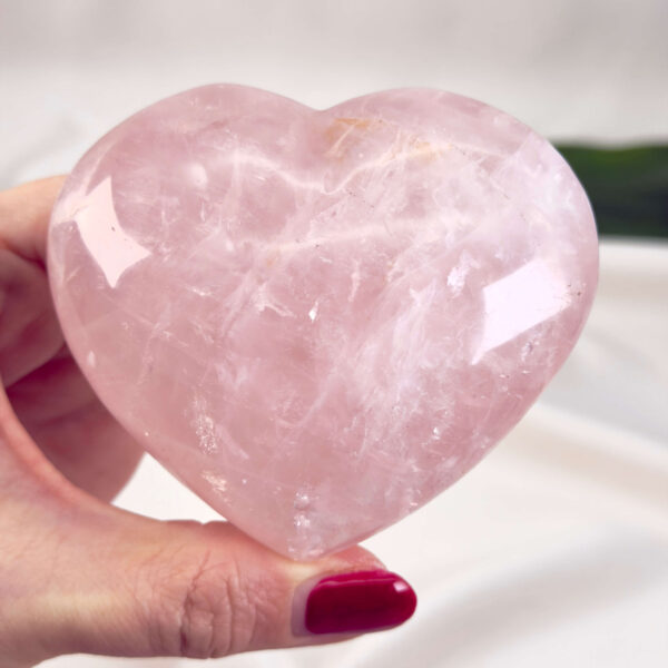 Rosakvarts Hjerte Krystal Sten på hvid baggrund i hånd